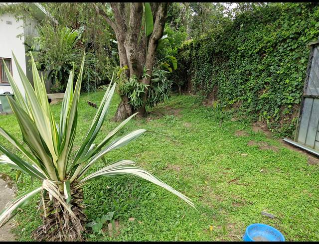 3 BEDROOM HOUSE TO LET IN DAWNCLIFFE